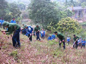 ĐVTN TP Hoà Bình lao động tình nguyện giúp gia đình chính sách phường Tân Hoà.